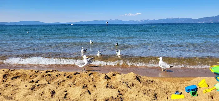 Baldwin Beach Picture 7