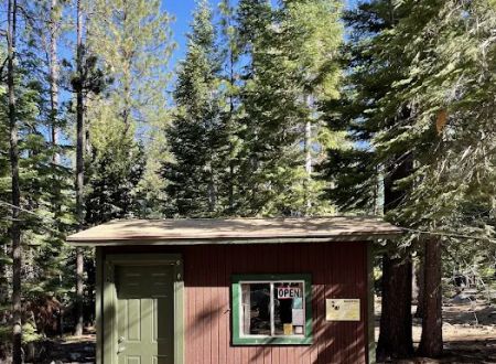 Camp Shelly