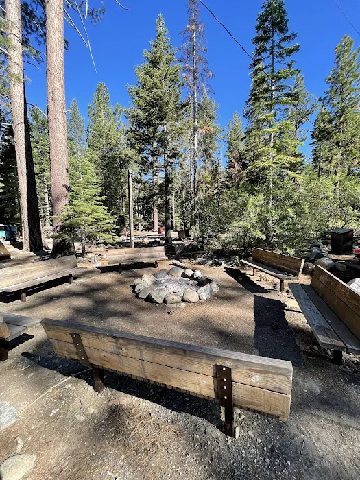 Camp Shelly Picture 6