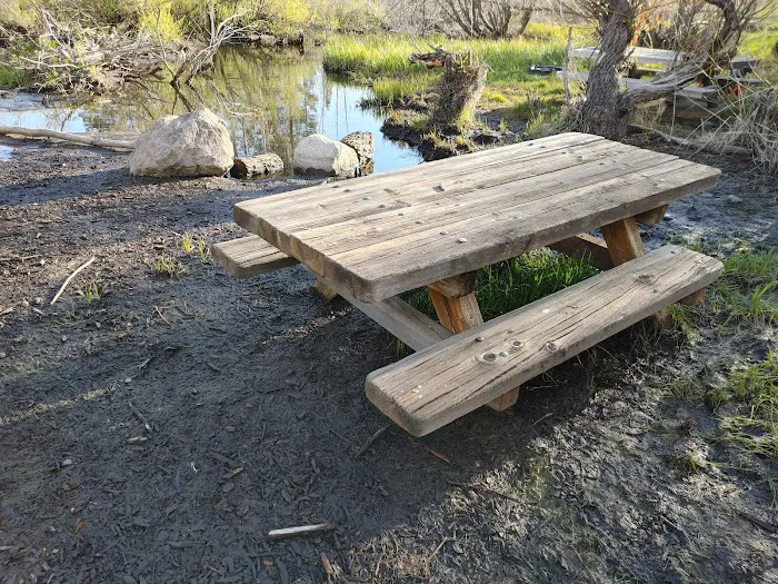 Lake Forest Campground Picture 10