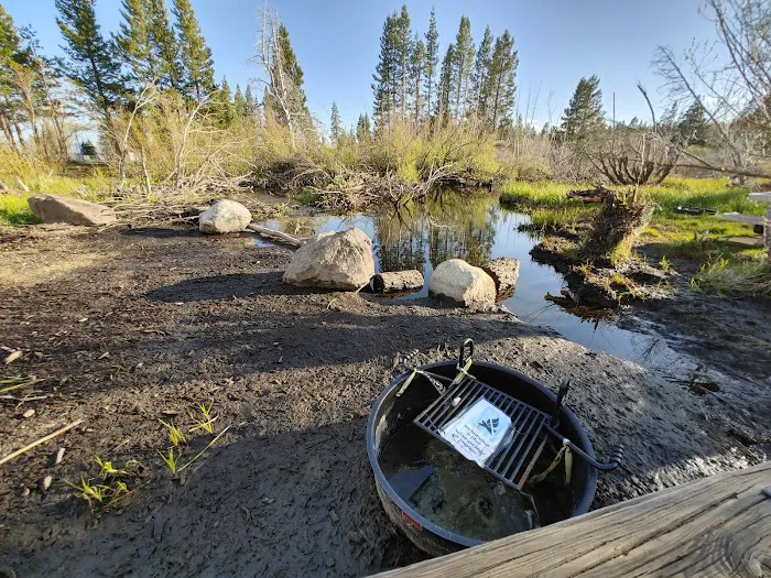 Lake Forest Campground Picture 3