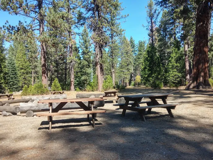 Camp Richardson Campground Picture 3