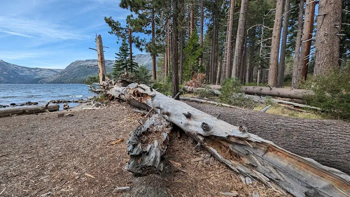 Fallen Leaf Campground Picture 2