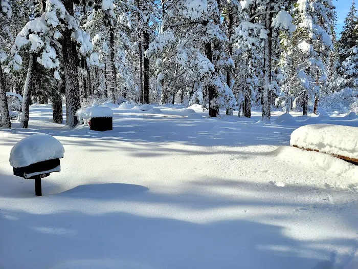 Fallen Leaf Campground Picture 9