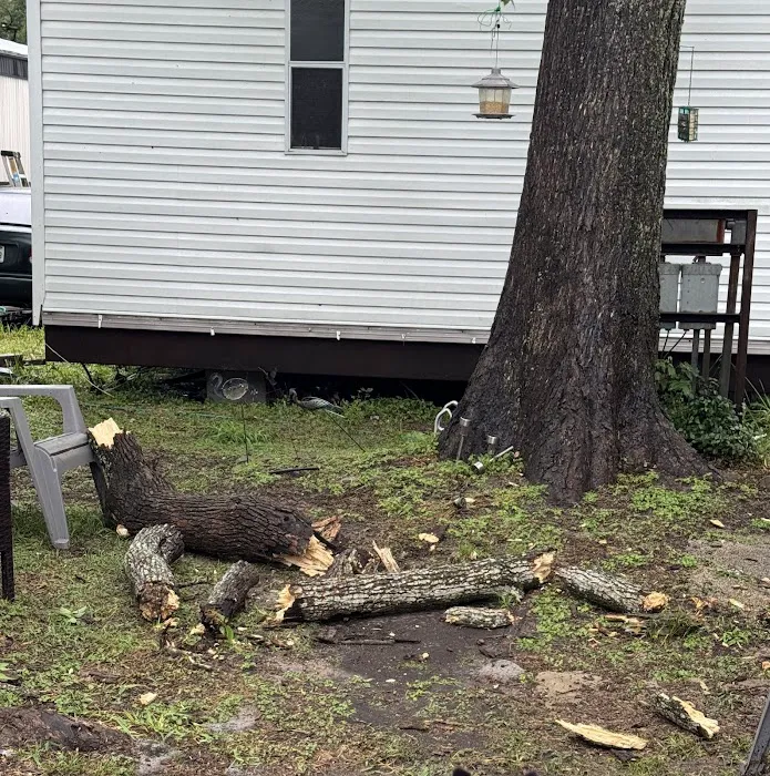 King's Row Manufactured Home Picture 6