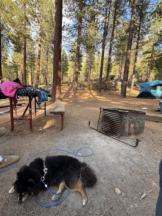 Zephyr Cove RV Park and Campground Picture 7