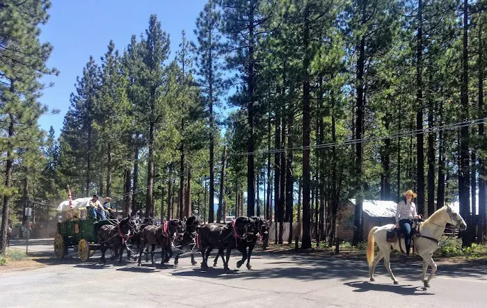 City of Lake Tahoe Campground Picture 1
