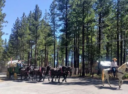 City of Lake Tahoe Campground