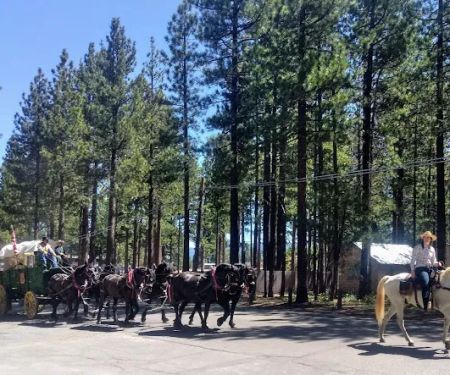 City of Lake Tahoe Campground