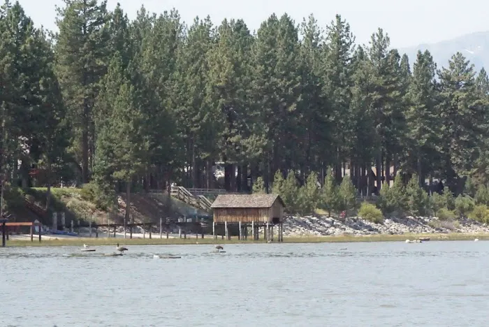 City of Lake Tahoe Campground Picture 9