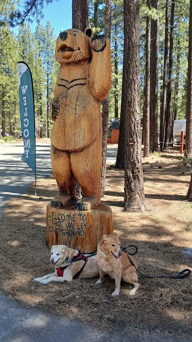 Tahoe Valley Campground Picture 2