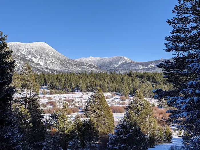 Tahoe Valley Campground Picture 8
