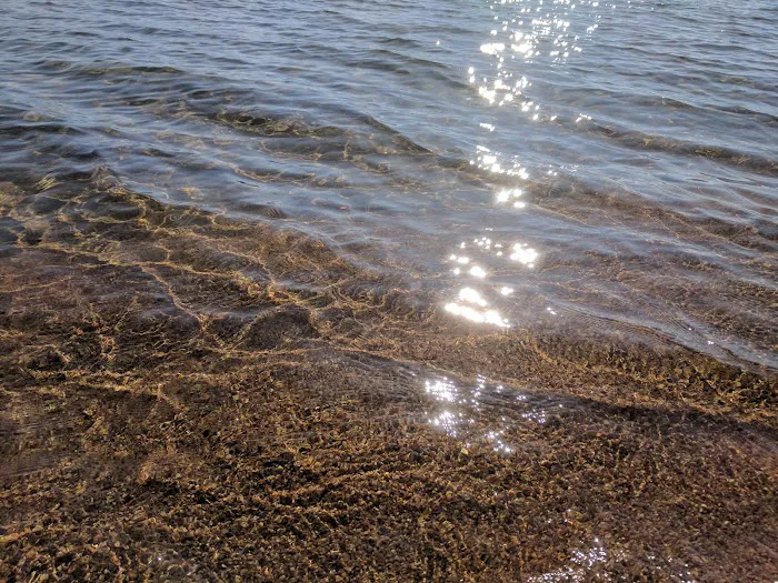 Nevada Beach Campground Picture 9