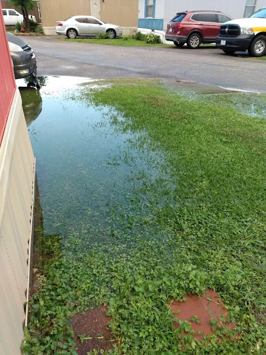Pearland Heights Picture 7