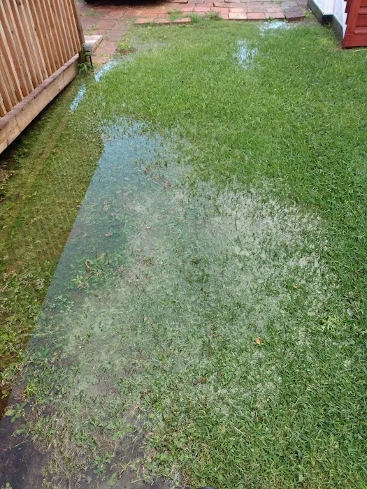 Pearland Heights Picture 6