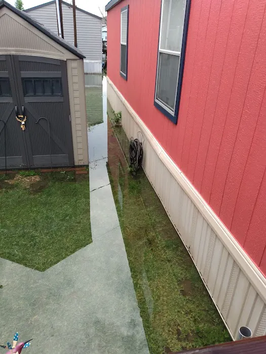 Pearland Heights Picture 3