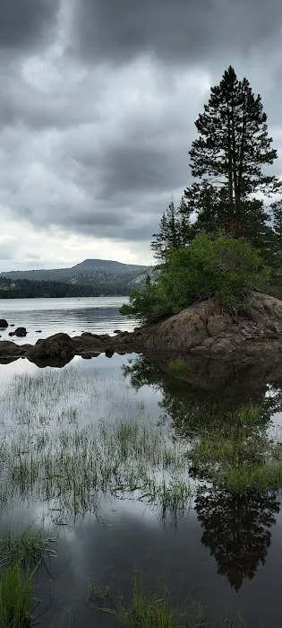 Caples Lake Campground Picture 4