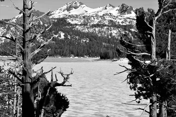 Caples Lake Campground Picture 3