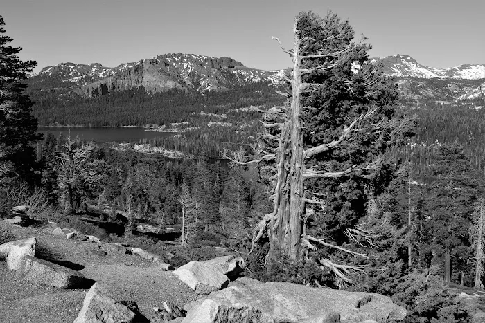 Caples Lake Campground Picture 2