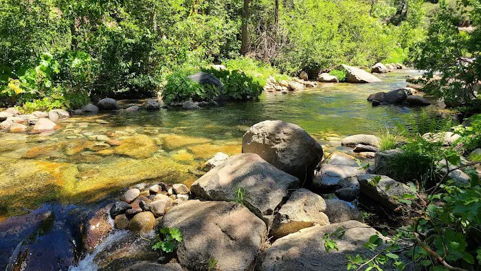 Middle Fork Cosumnes Campground Picture 4