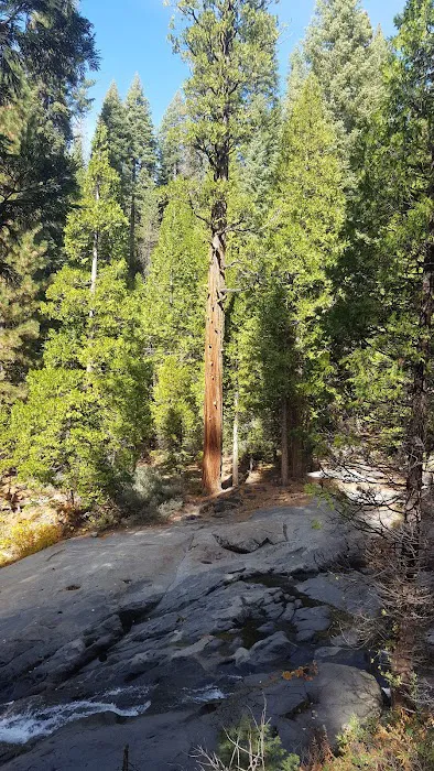 Middle Fork Cosumnes Campground Picture 5