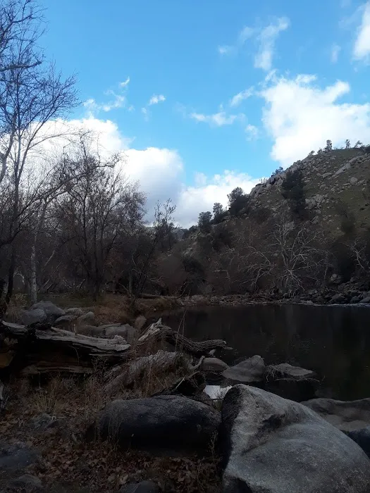 Hobo Camp/ Miracle Hot Springs Picture 4