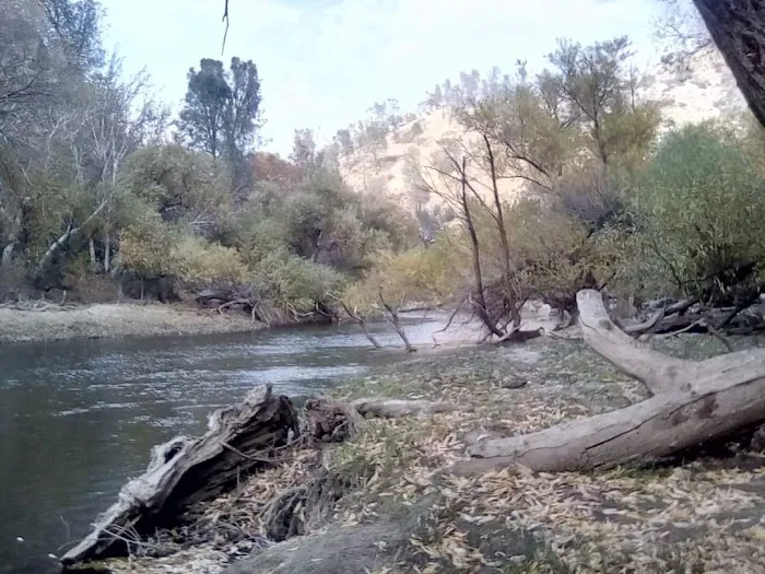 Hobo Camp/ Miracle Hot Springs Picture 3