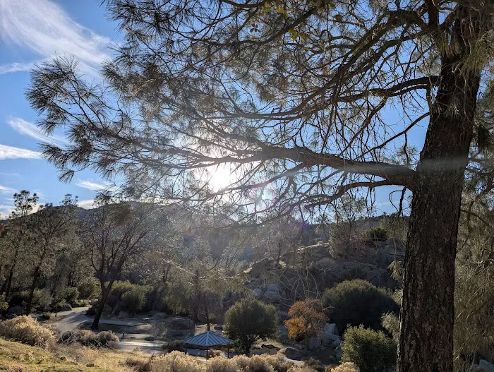 Sandy Flat Campground Picture 6