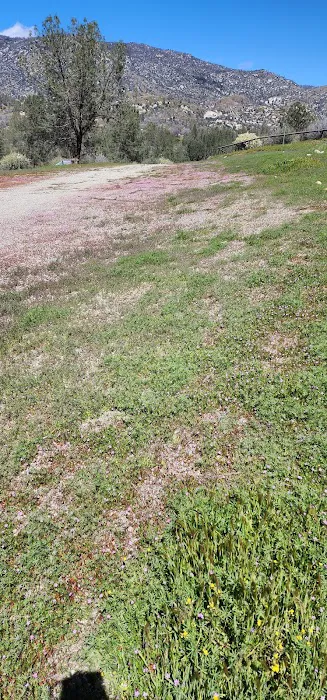 Black Gulch South Picture 1