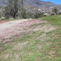 Black Gulch South ico