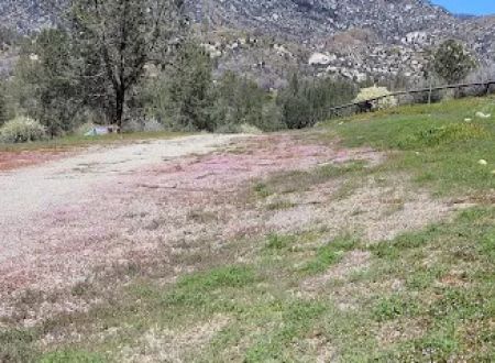 Black Gulch South