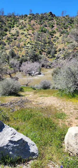 Black Gulch South Picture 2