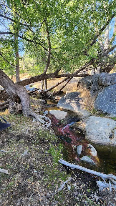 Black Gulch South Picture 8