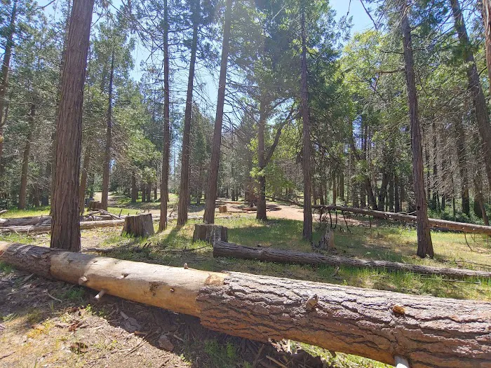 Davis Camp Picture 9