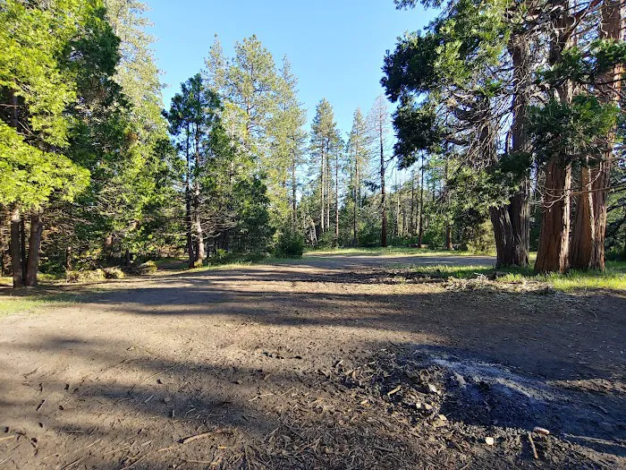 Davis Camp Picture 2