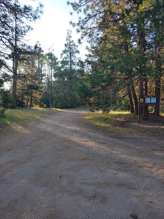 Davis Camp Picture 1