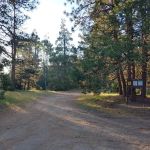 Davis Camp