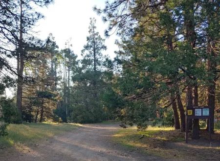 Davis Camp