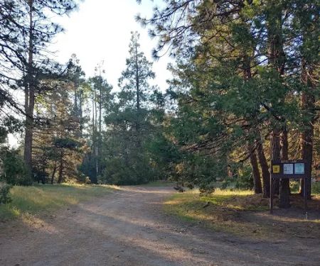 Davis Camp