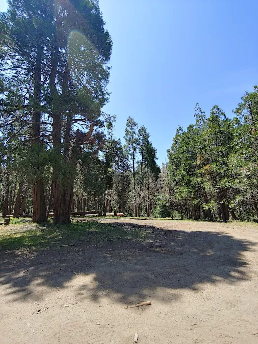 Davis Camp Picture 3