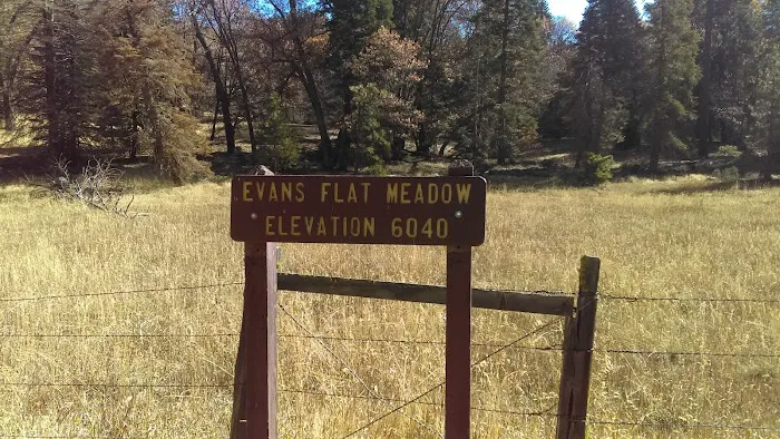 Evans Flat Campground Picture 6