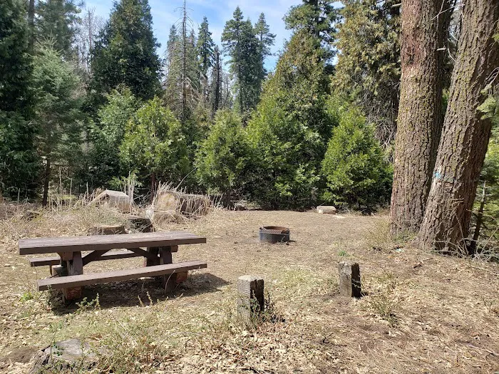 Evans Flat Campground Picture 5