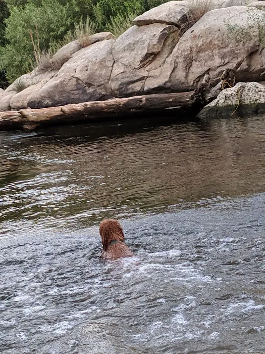 Sandy Hill Campground by Kern River Picture 3