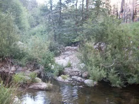 Camp Hinckley Picture 3