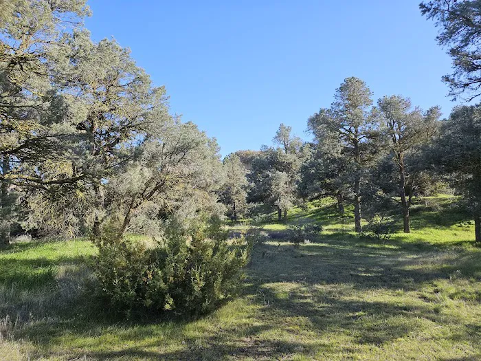 Valle Vista Campground Picture 9