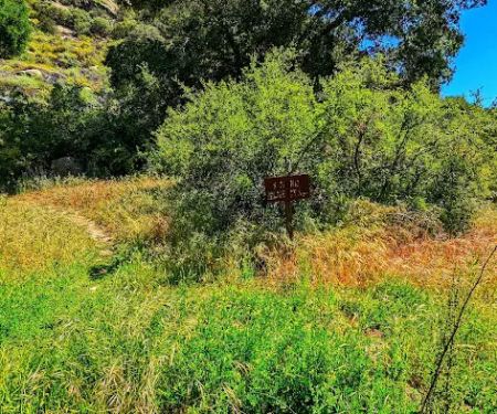 Mono Campground