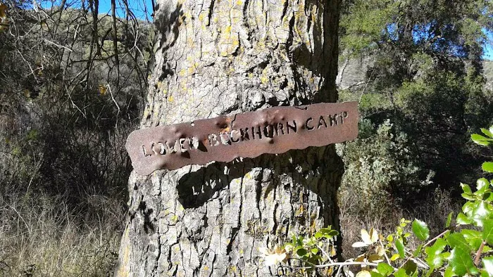 Lower Buckhorn Camp Picture 1