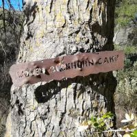 Lower Buckhorn Camp ico