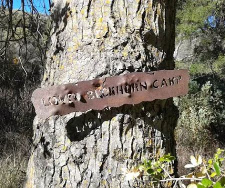 Lower Buckhorn Camp