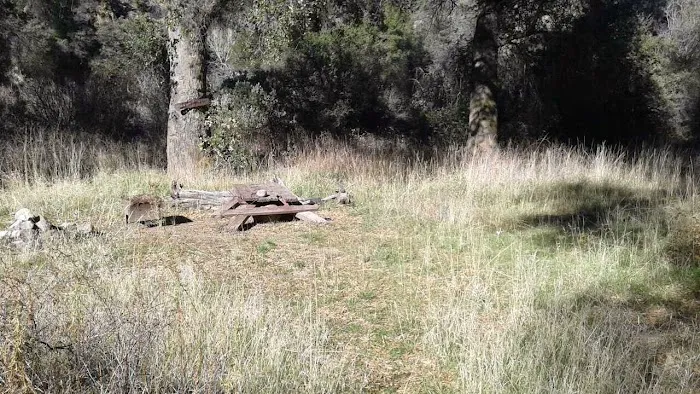 Lower Buckhorn Camp Picture 2
